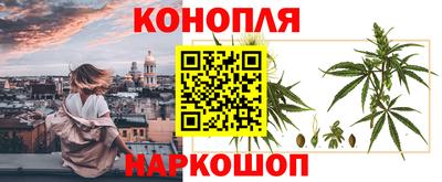 меф Краснознаменск