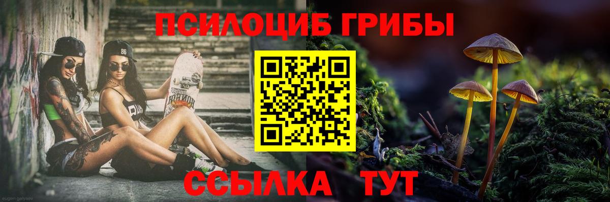 Псилоцибиновые грибы ЛСД Кимовск